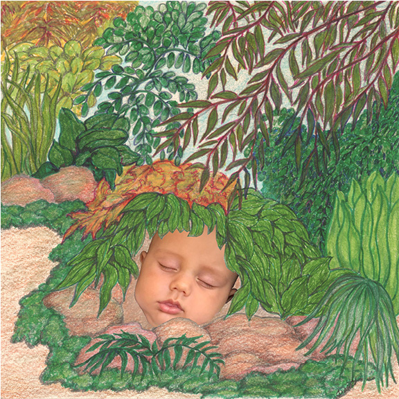 Nature Baby by Tracey Farrell