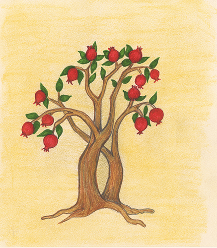 Pomegranate Tree by Tracey Farrell