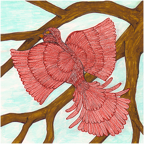 Bird Of Paradise #36 by Tracey Farrell Bird Of Paradise #36 by Tracey Farrell