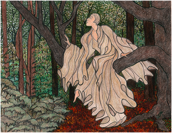 In The Forest by Tracey Farrell