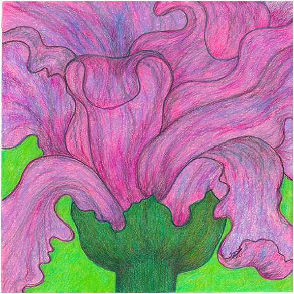 Purple Emancipation by Tracey Farrell Purple Emancipation by Tracey Farrell