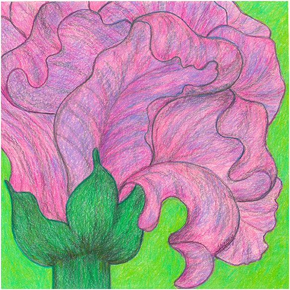 Purple Emancipation by Tracey Farrell
