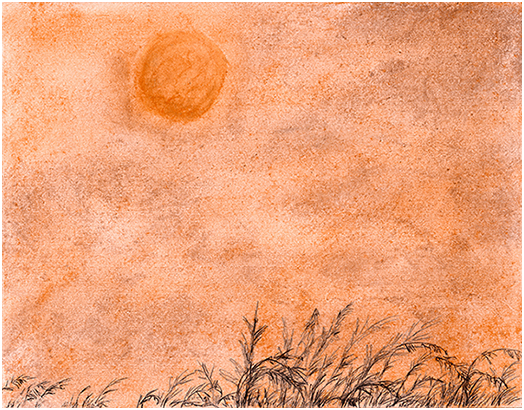 Sky by Tracey Farrell Sky by Tracey Farrell