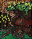 Forest Floor #16