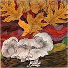 Forest Floor #7