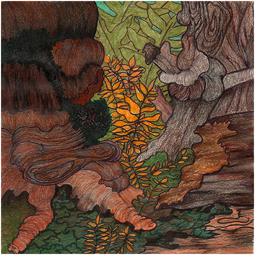 Forest Floor by Tracey Farrell