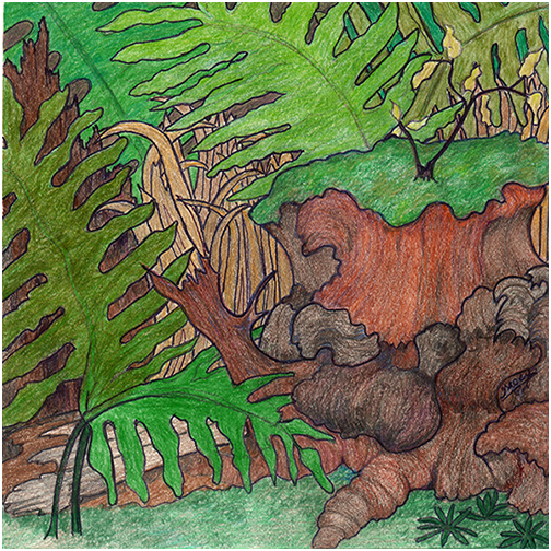 Forest Floor by Tracey Farrell