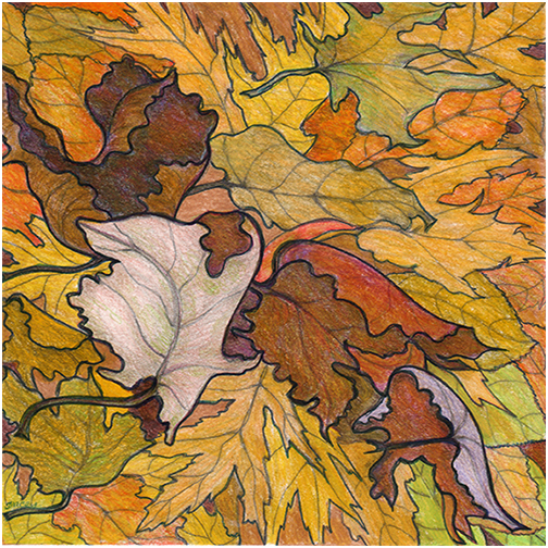 Forest Floor by Tracey Farrell