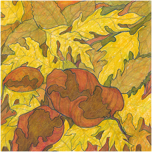 Forest Floor by Tracey Farrell
