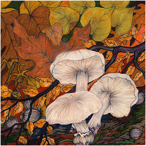 Forest Floor by Tracey Farrell