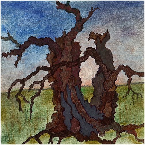 Gnarly Tree by Tracey Farrell Gnarly Tree by Tracey Farrell