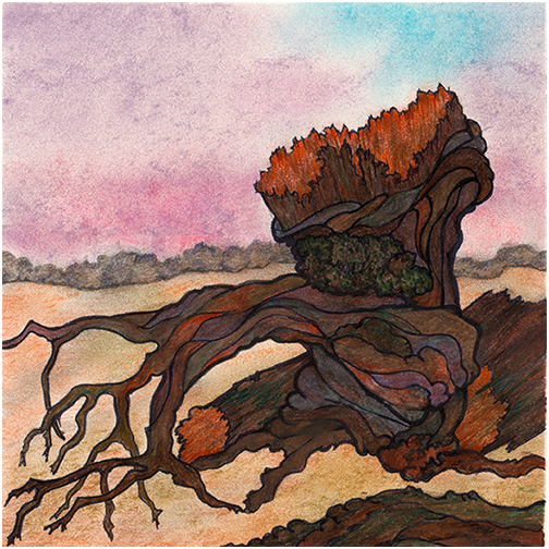 Gnarly Tree by Tracey Farrell