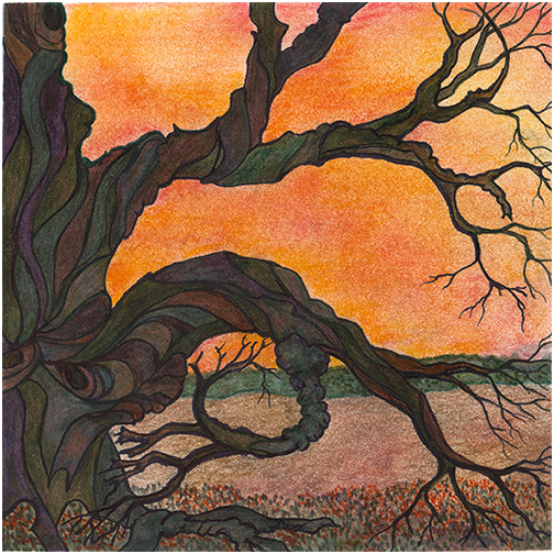 Gnarly Tree by Tracey Farrell