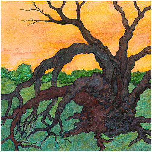 Gnarly Tree by Tracey Farrell Gnarly Tree by Tracey Farrell